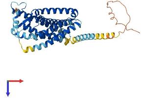 Prostaglandin D2 Receptor 2 (PTGDR2) (AA 1-382) protein (His tag)