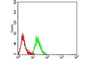 Flow cytometric analysis of Raji cells using CD140a mouse mAb (green) and negative control (red). (PDGFRA antibody  (AA 179-361))