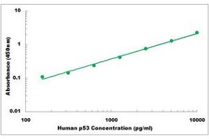 Representative Standard Curve (p53 ELISA Kit)