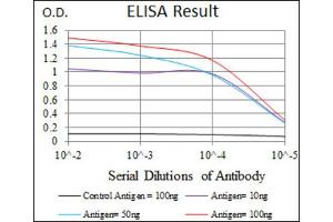 Red: Control Antigen (100ng) ; Purple: Antigen (10ng) ; Green: Antigen (50ng) ; Blue: Antigen (100ng). (SRY antibody  (AA 1-204))