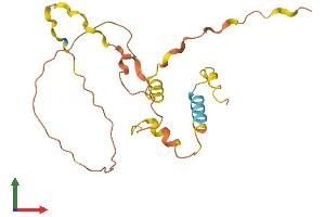 AlphaFold protein structure predicition of Human Recombinant PRORY Protein, UniprotID Q9H606 (CYORF17 Protein (AA 1-182) (His tag))