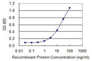 Detection limit for recombinant GST tagged INPP1 is 0. (INPP1 antibody  (AA 300-399))