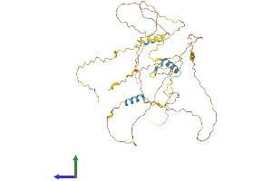 AlphaFold protein structure predicition of Human Recombinant FAM222A Protein, UniprotID Q5U5X8 (FAM222A Protein (AA 1-452) (His tag))