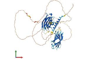 AlphaFold protein structure predicition of Human Recombinant SYT14 Protein, UniprotID Q8NB59 (SYT14 Protein (AA 1-555) (His tag))