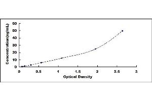 Typical standard curve (CYP3A1 ELISA Kit)