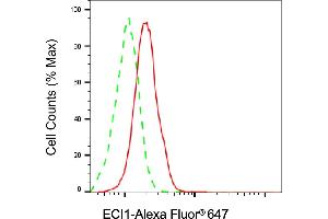 Flow cytometric analysis of ECI1 expression in HAP-1 cells using ECI1 antibody (ABIN7798453), 1:2,000). (Recombinant DCI antibody)