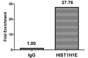 Chromatin Immunoprecipitation Hela (4*10 6 ) were treated with Micrococcal Nuclease, sonicated, and immunoprecipitated with 8 μg anti-HIST1H1E (nme1HU) or a control normal rabbit IgG. (HIST1H1E antibody)