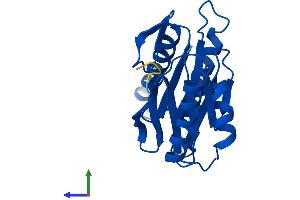 AlphaFold protein structure predicition of Human Recombinant PSMB2 Protein, UniprotID P49721