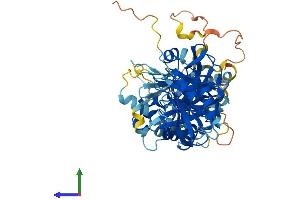 Protein Structure (PS) image for Trypsin Domain Containing 1 (TYSND1) (AA 1-566) protein (His tag) (ABIN7544890)