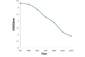 Antigen: 0. (PAPPA antibody  (AA 1321-1460))