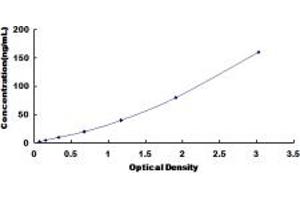 Typical standard curve (IGFBP6 ELISA Kit)