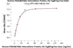 Immobilized Natalizumab at 1 μg/mL (100 μL/well) can bind Human ITGA4&ITGB1 Heterodimer Protein, His Tag&Tag Free (ABIN5954893,ABIN6253572) with a linear range of 1-16 ng/mL (QC tested).