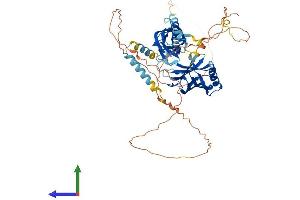 AlphaFold protein structure predicition of Mouse Recombinant Syt3 Protein, UniprotID O35681 (Synaptotagmin 3 Protein (AA 1-587) (His tag))