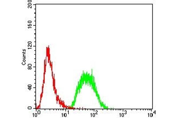 LY75/DEC-205 antibody