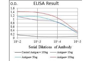 Black line: Control Antigen (100 ng), Purple line: Antigen(10 ng), Blue line: Antigen (50 ng), Red line: Antigen (100 ng), (CD166 antibody  (AA 48-216))