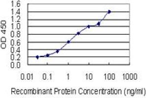 Detection limit for recombinant GST tagged FBXO43 is 0. (FBXO43 antibody  (AA 1-110))