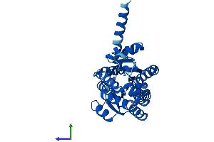 AlphaFold protein structure predicition of Mouse Recombinant Rdh7 Protein, UniprotID O88451 (RDH7 Protein (AA 1-316) (His tag))