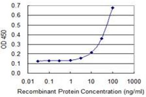 Detection limit for recombinant GST tagged FICD is 1 ng/ml as a capture antibody. (FICD antibody  (AA 1-449))