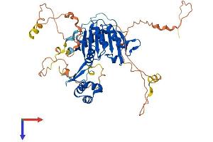 AlphaFold protein structure predicition of Mouse Recombinant Fam83e Protein, UniprotID Q80XS7 (FAM83E Protein (AA 1-481) (His tag))