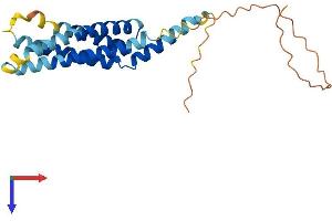 AlphaFold protein structure predicition of Mouse Recombinant Ms4a4d Protein, UniprotID Q99N05 (Ms4a4d Protein (AA 1-225) (His tag))