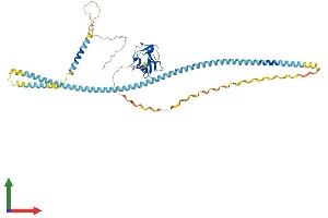 Protein Structure (PS) image for Scavenger Receptor Class A, Member 5 (SCARA5) (AA 1-491) protein (His tag) (ABIN7564631)
