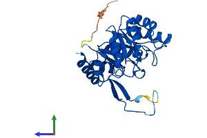 AlphaFold protein structure predicition of Human Recombinant CUTC Protein, UniprotID Q9NTM9