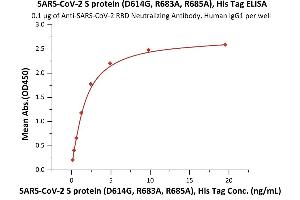 Immobilized Anti-SARS-CoV-2 RBD Neutralizing Antibody, Human IgG1 (Cat. (SARS-CoV-2 Spike Protein (D614G, Super Stable Trimer) (His tag))