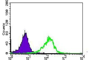 Flow cytometric analysis of HepG2 cells using WDR66 mouse mAb (green) and negative control (purple). (WDR66 antibody  (AA 1-250))