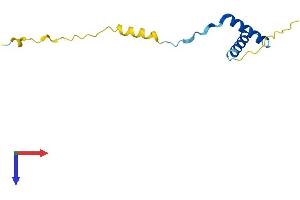 Endogenous Retrovirus Group K, Member 25 (ERVK-25) (AA 1-105) protein (His tag)