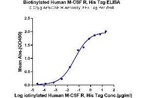 Immobilized Anti-CSF R Antibody, hFc Tag at 0. (CSF1R Protein (His-Avi Tag,Biotin))