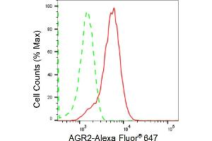 Flow cytometric analysis of AGR2 expression in HepG2 cells using AGR2 antibody (ABIN7797627), 1:2,000). (Recombinant AGR2 antibody)