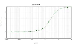 ELISA Results of Rabbit Anti-Mutarotase Antibody Biotin Conjugated tested against purified Mutarotase. (Mutarotase antibody (Biotin))