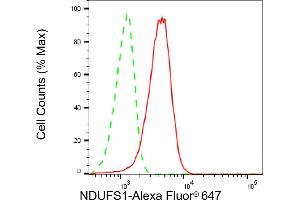 Flow cytometric analysis of NDUFS1 expression in HepG2 cells using NDUFS1 antibody (ABIN7799555), 1:2,000).