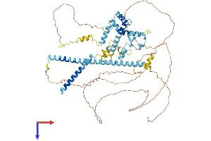 SFRS16 Protein (AA 1-674) (His tag)