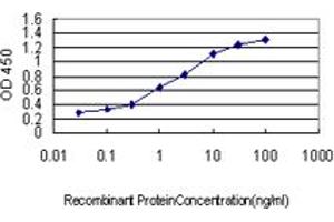 Detection limit for recombinant GST tagged HOXC10 is approximately 0. (HOXC10 antibody  (AA 158-257))