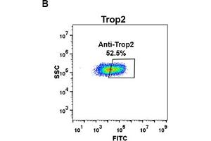 Flow Cytometry (FACS) image for anti-Tumor-Associated Calcium Signal Transducer 2 (TACSTD2) (AA 27-274) antibody (ABIN7092875) (TACSTD2 antibody  (AA 27-274))