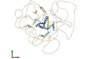Protein Structure (PS) image for Bobby Sox Homolog (BBX) (AA 1-941) protein (His tag) (ABIN7552660)