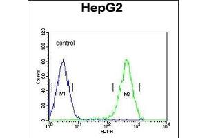 ATXN2L Antibody (C-term) (ABIN651376 and ABIN2840210) flow cytometric analysis of HepG2 cells (right histogram) compared to a negative control cell (left histogram). (Ataxin 2-Like antibody  (C-Term))