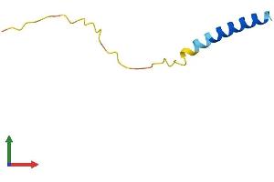 Protein Structure (PS) image for Lens Epithelial Protein (LENEP) (AA 1-61) protein (Fc Tag) (ABIN7548896)