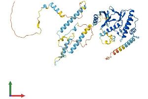 Protein Structure (PS) image for RRIO Kinase 3 (RIOK3) (AA 1-519) protein (His tag) (ABIN7551388)