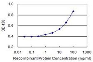 Detection limit for recombinant GST tagged NAT14 is 1 ng/ml as a capture antibody. (NAT14 antibody  (AA 1-56))