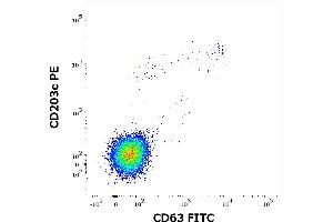 Flow cytometry dot-plot staining pattern of rPhl p 7 recombinant allergen stimulated human peripheral whole blood lymphocytes and basophils of a proven allergic donor stained using anti-human CD63 (MEM-259) FITC and anti-human CD203c (NP4D6) PE antibodies .