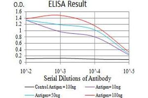 Black line: Control Antigen (100 ng),Purple line: Antigen (10 ng), Blue line: Antigen (50 ng), Red line:Antigen (100 ng) (Cytokeratin 19 antibody  (AA 274-400))