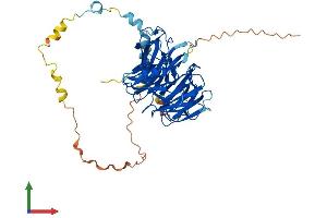 Protein Structure (PS) image for PWP1 Homolog (PWP1) (AA 1-501) protein (His tag) (ABIN7551127)