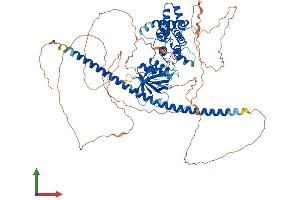 AlphaFold protein structure predicition of Mouse Recombinant Arhgap24 Protein, UniprotID Q8C4V1 (ARHGAP24 Protein (AA 1-747) (His tag))