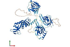 AlphaFold protein structure predicition of Mouse Recombinant Rpa1 Protein, UniprotID Q8VEE4 (RPA1 Protein (AA 1-623) (His tag))
