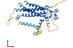 AlphaFold protein structure predicition of Human Recombinant ZDHHC4 Protein, UniprotID Q9NPG8 (ZDHHC4 Protein (AA 1-344) (His tag))
