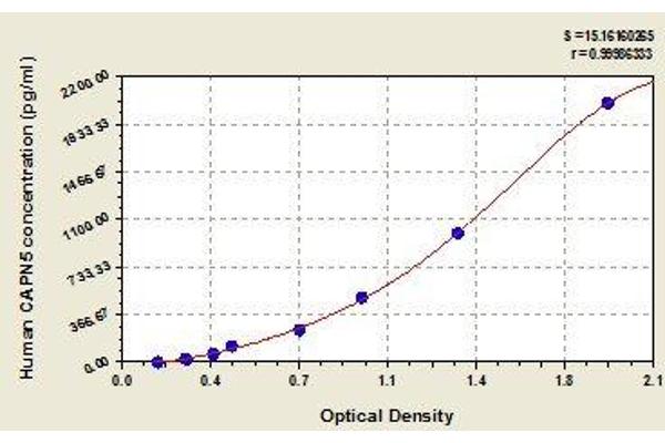 Calpain 5 ELISA Kit