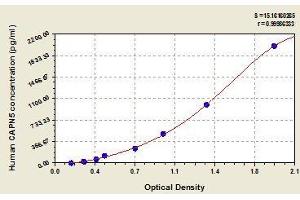 Typical standard curve (Calpain 5 ELISA Kit)