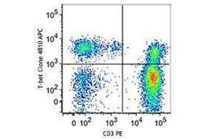 Flow Cytometry (FACS) image for anti-T-Bet antibody (APC) (ABIN2658397) (T-Bet antibody  (APC))